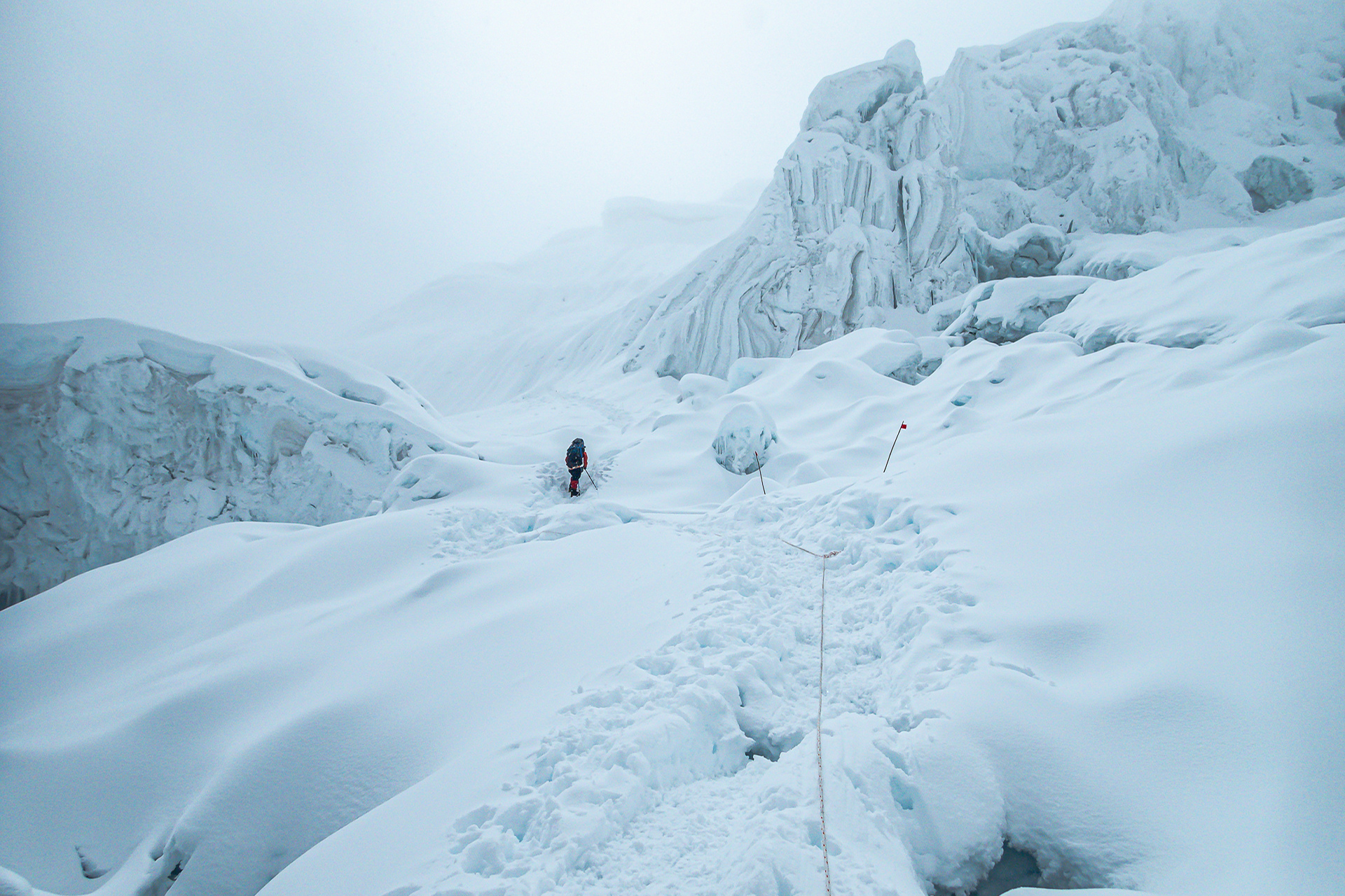 foreverest by Sushma Soma
